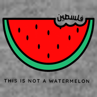 This Is Not A Watermelon Palestine Collection Tall Sweatshirt