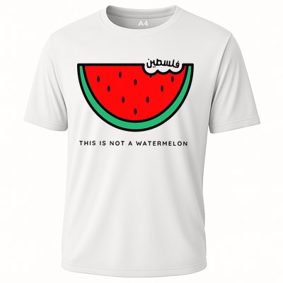 This Is Not A Watermelon Palestine Collection Performance Shirt