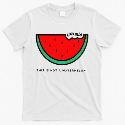 This Is Not A Watermelon Palestine Collection T-Shirt