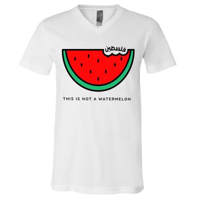 This Is Not A Watermelon Palestine Collection V-Neck T-Shirt