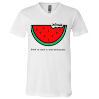 This Is Not A Watermelon Palestine Collection V-Neck T-Shirt