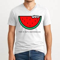 This Is Not A Watermelon Palestine Collection V-Neck T-Shirt