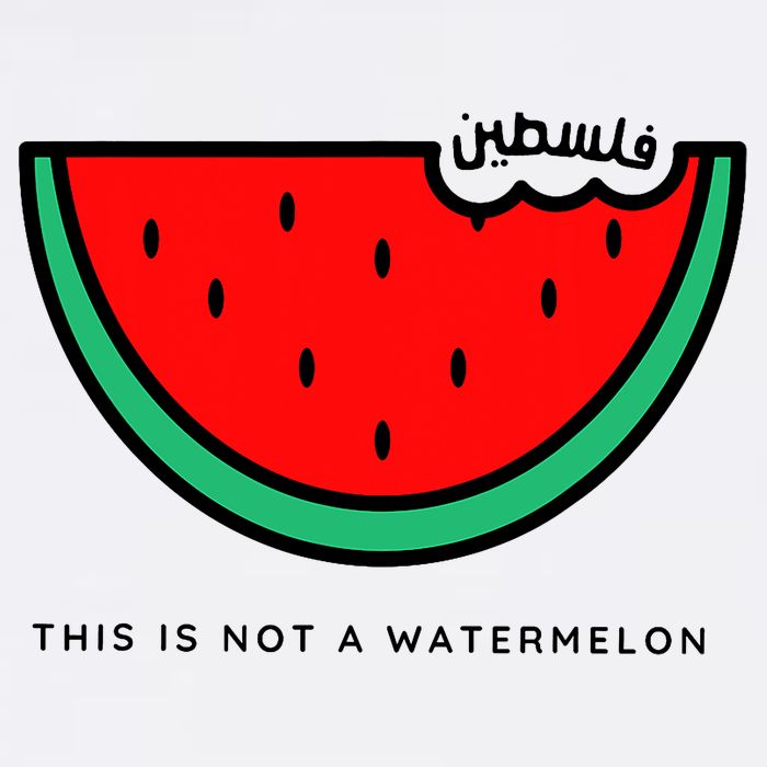 This Is Not A Watermelon Palestine Collection Youth Performance Sprint T-Shirt