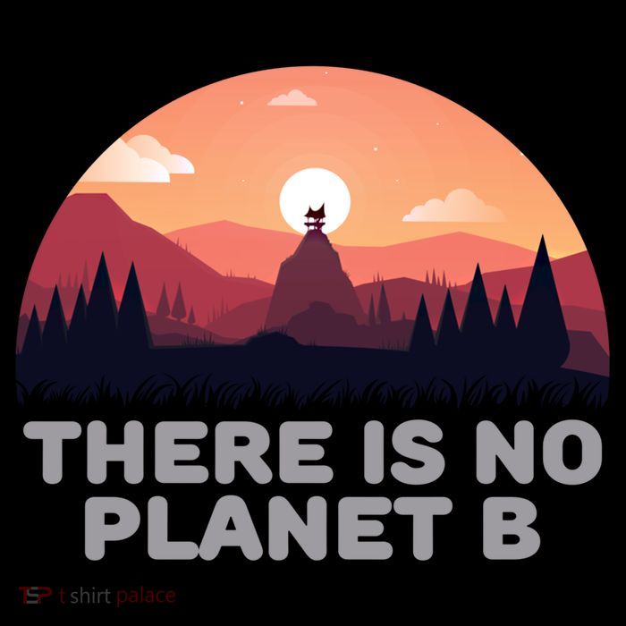 There Is No Planet B Save The Environt Save Earth Gift Sustainable Bucket Hat