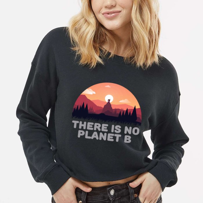 There Is No Planet B Save The Environt Save Earth Gift Cropped Pullover Crew