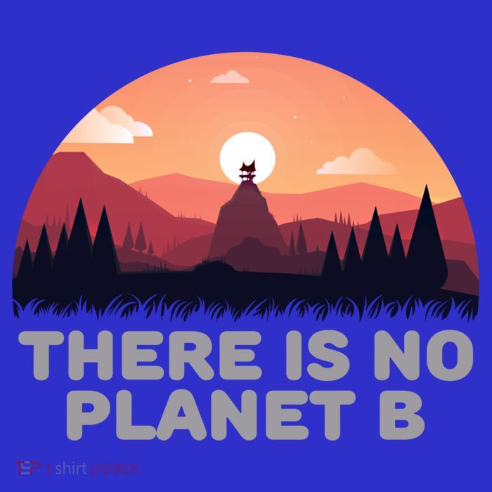 There Is No Planet B Save The Environt Save Earth Gift Sweatshirt