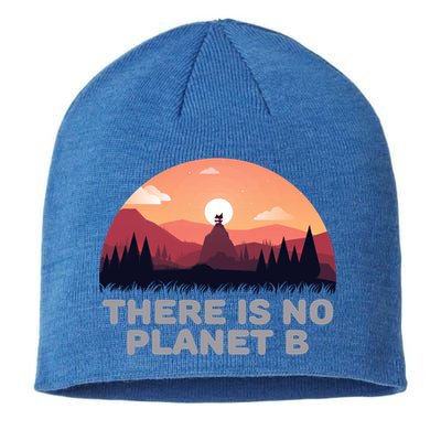 There Is No Planet B Save The Environt Save Earth Gift Sustainable Beanie