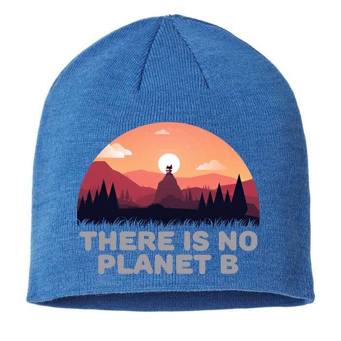There Is No Planet B Save The Environt Save Earth Gift Sustainable Beanie