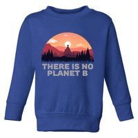 There Is No Planet B Save The Environt Save Earth Gift Toddler Sweatshirt