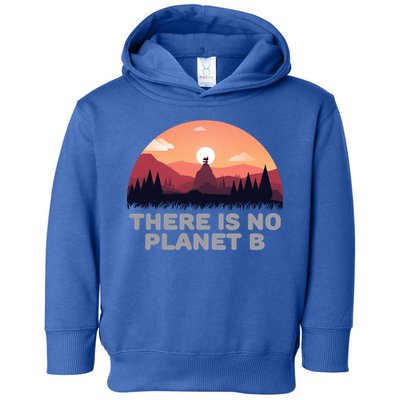 There Is No Planet B Save The Environt Save Earth Gift Toddler Hoodie