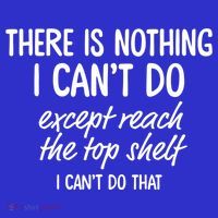 There Is Nothing I Can't Do Except Reach The Top Shelf Gift Bag