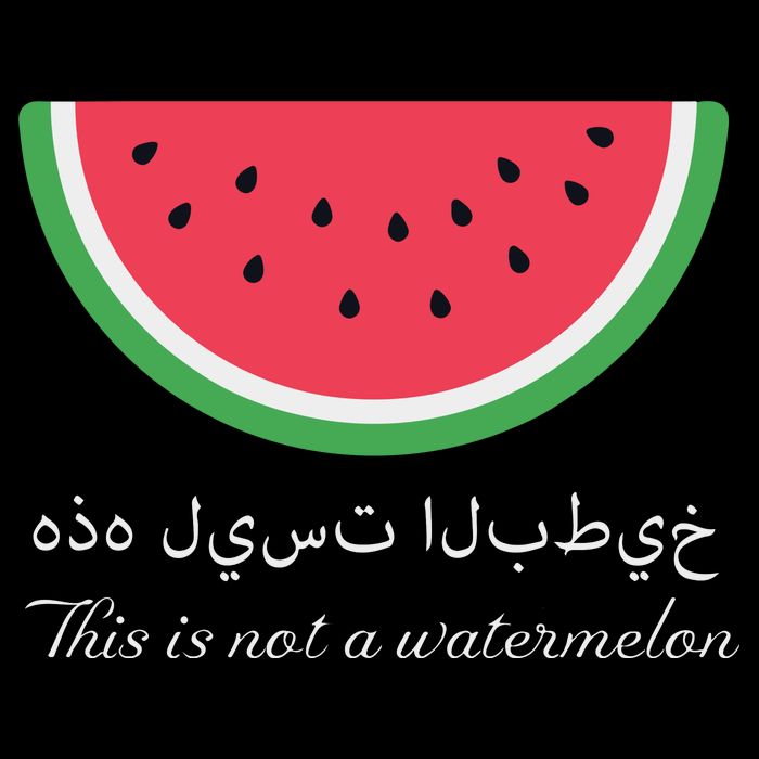 This Is Not A Watermelon Palestine Flag Drawstring Bag