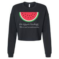 This Is Not A Watermelon Palestine Flag Cropped Pullover Crew