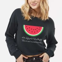This Is Not A Watermelon Palestine Flag Cropped Pullover Crew