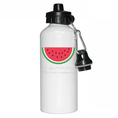 This Is Not A Watermelon Palestine Flag Aluminum Water Bottle