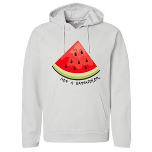 This Is Not A Watermelon Watermelon Freedom Solidarity Performance Fleece Hoodie