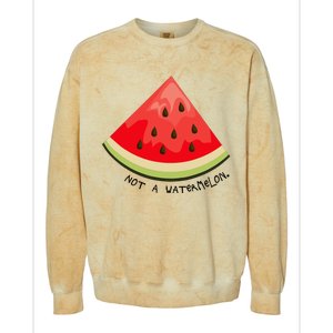 This Is Not A Watermelon Watermelon Freedom Solidarity Colorblast Crewneck Sweatshirt