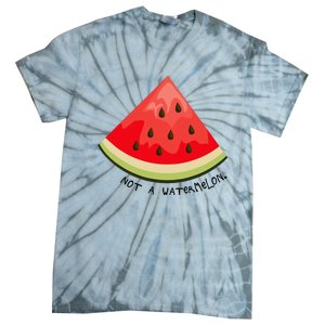 This Is Not A Watermelon Watermelon Freedom Solidarity Tie-Dye T-Shirt