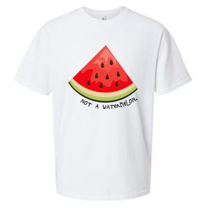 This Is Not A Watermelon Watermelon Freedom Solidarity Sueded Cloud Jersey T-Shirt