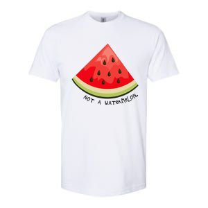 This Is Not A Watermelon Watermelon Freedom Solidarity Softstyle CVC T-Shirt