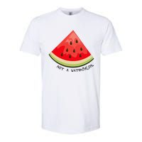 This Is Not A Watermelon Watermelon Freedom Solidarity Softstyle CVC T-Shirt