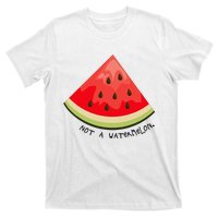 This Is Not A Watermelon Watermelon Freedom Solidarity T-Shirt