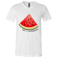 This Is Not A Watermelon Watermelon Freedom Solidarity V-Neck T-Shirt