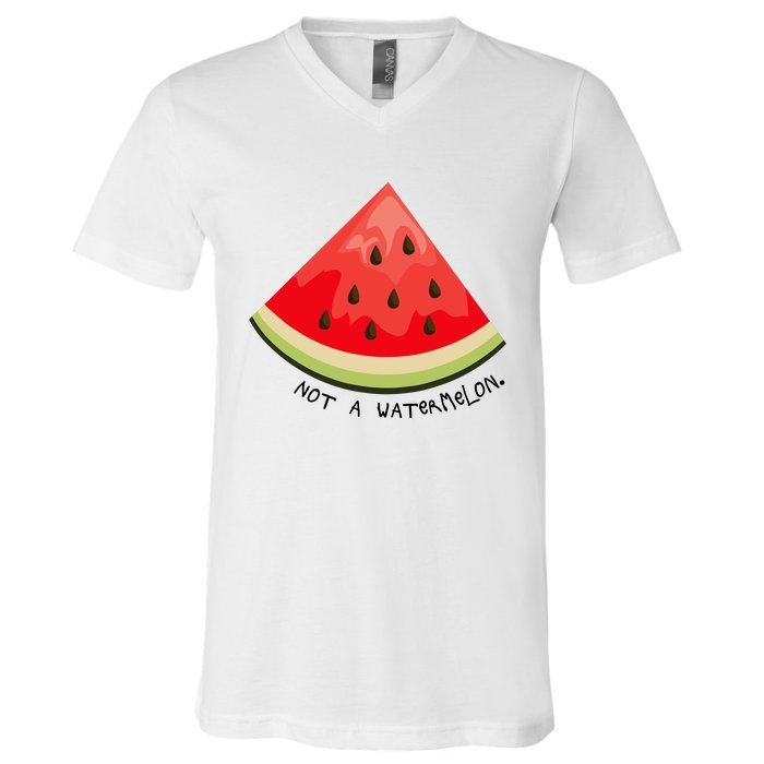 This Is Not A Watermelon Watermelon Freedom Solidarity V-Neck T-Shirt