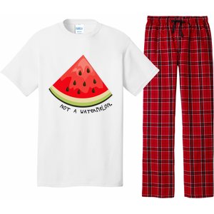 This Is Not A Watermelon Watermelon Freedom Solidarity Pajama Set