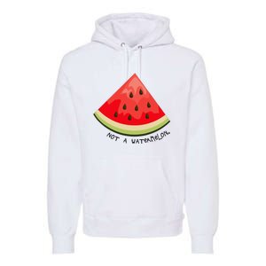 This Is Not A Watermelon Watermelon Freedom Solidarity Premium Hoodie