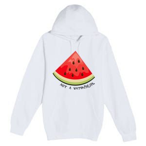 This Is Not A Watermelon Watermelon Freedom Solidarity Premium Pullover Hoodie