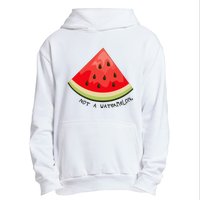 This Is Not A Watermelon Watermelon Freedom Solidarity Urban Pullover Hoodie