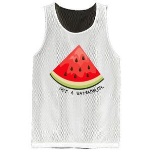 This Is Not A Watermelon Watermelon Freedom Solidarity Mesh Reversible Basketball Jersey Tank