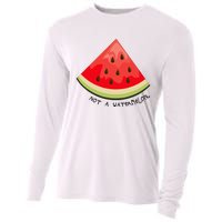 This Is Not A Watermelon Watermelon Freedom Solidarity Cooling Performance Long Sleeve Crew