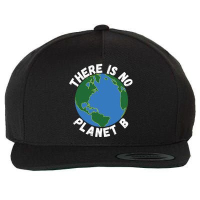 There Is No Planet B Earth Day Environmental, Save The Earth Wool Snapback Cap