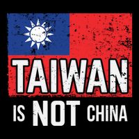 Taiwan Is Not China Support Independent Taipei Flag Gift Cooling Performance Crew T-Shirt