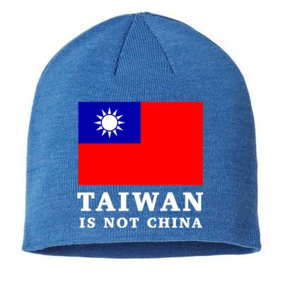 Taiwan Is Not China Great Gift Sustainable Beanie