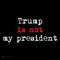 Trump Is Not My President Minimalist Womens T-Shirt