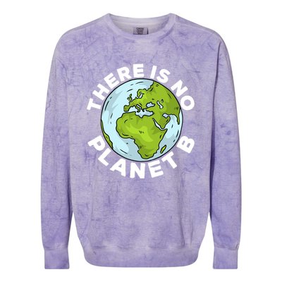 There Is No Planet B Love Mother Earth Environtal Funny Gift Colorblast Crewneck Sweatshirt