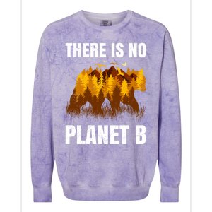 There Is No Planet B Saying Protection Animals Bear Birds Gift Colorblast Crewneck Sweatshirt