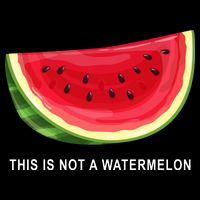 This Is Not A Watermelon Funny 7-Panel Snapback Hat