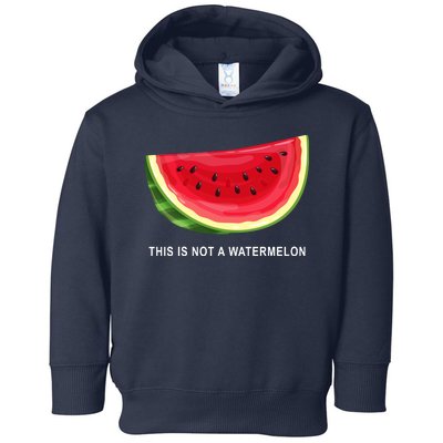 This Is Not A Watermelon Funny Toddler Hoodie