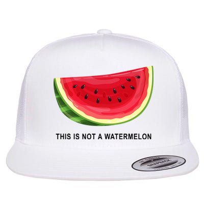 This Is Not A Watermelon Funny Flatbill Hat