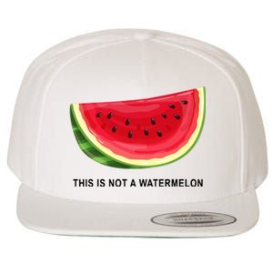 This Is Not A Watermelon Funny Wool Snapback Cap