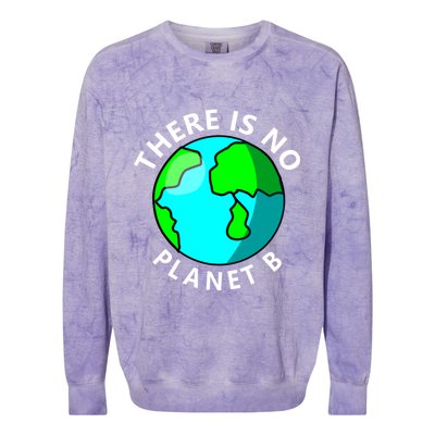 There Is No Planet B Earth Day Colorblast Crewneck Sweatshirt