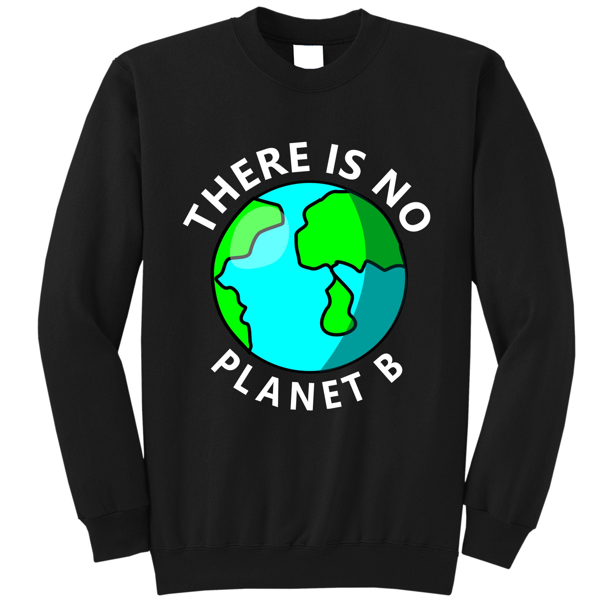 There Is No Planet B Earth Day Tall Sweatshirt