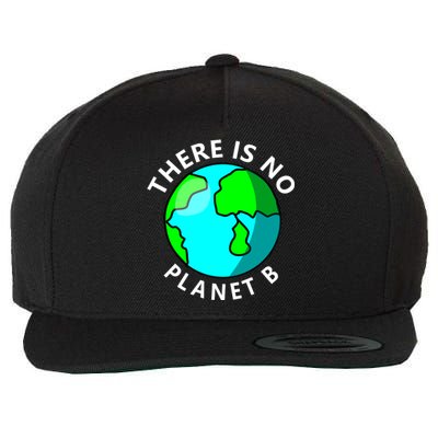 There Is No Planet B Earth Day Wool Snapback Cap