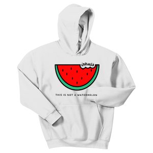 This Is Not A Watermelon Palestine Collection Kids Hoodie