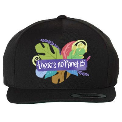 There Is No Planet B Climate Change Cool Gift Wool Snapback Cap