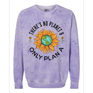 There Is No Planet B Only Plan A Earth Day Save The Planet Gift Idea Colorblast Crewneck Sweatshirt